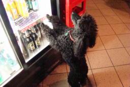 Resize of DSC01748.JPG